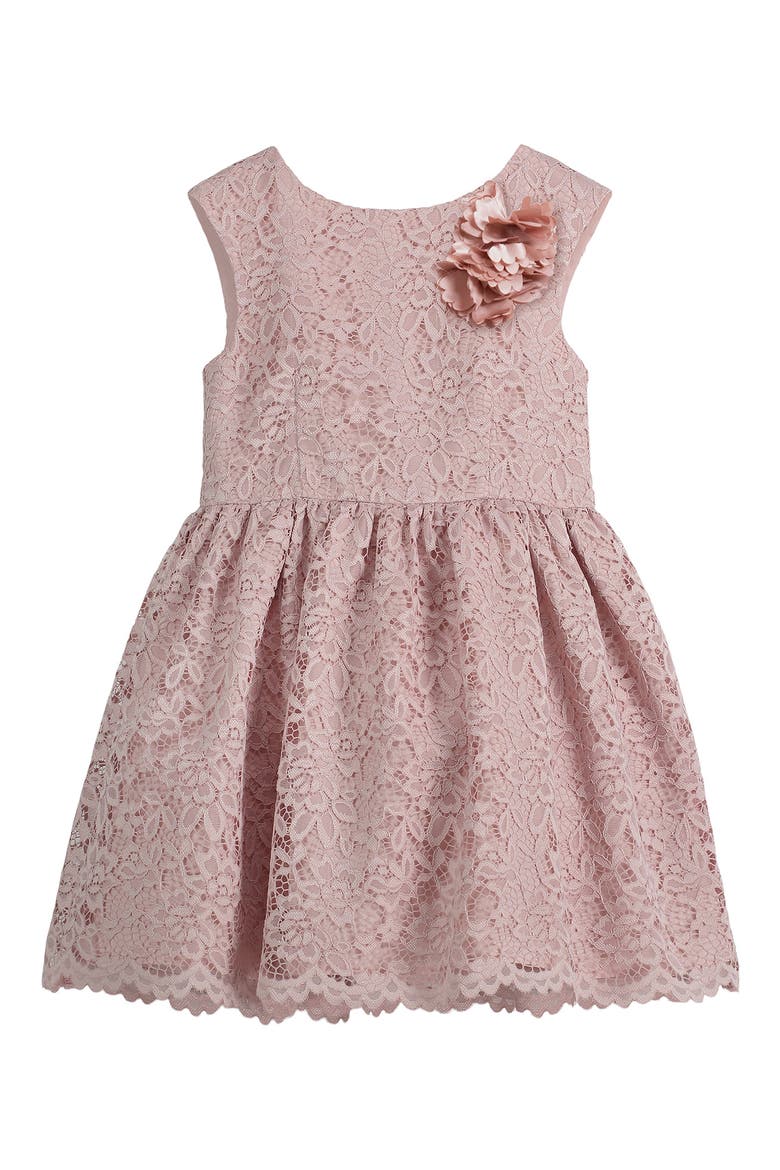 Sleeveless Lace Party Dress, Main, color, MAUVE
