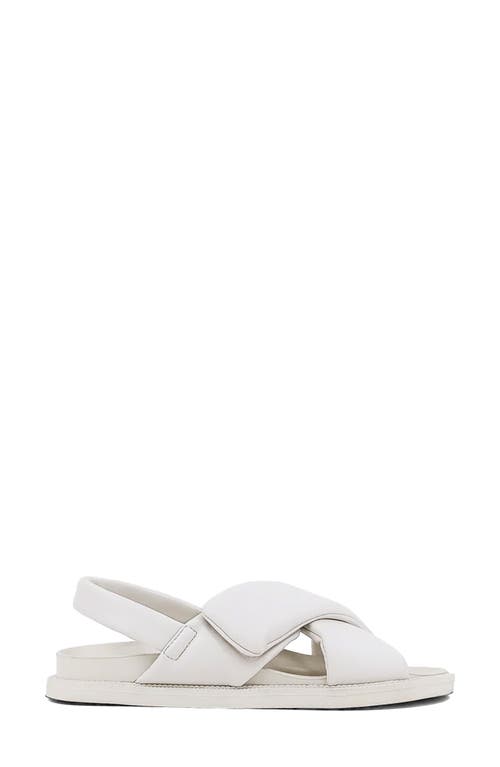Shushop Delta Slingback Sandal In Brown