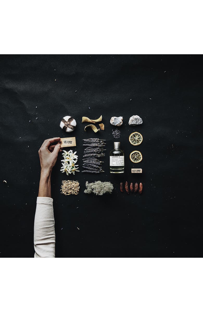 Le Labo Lavande 31 Eau de Parfum, Alternate, color, 