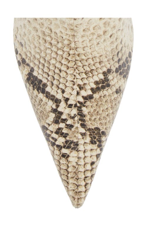 Schutz Frances Snakeskin Embossed Pointed Toe Bootie In Beige Snake