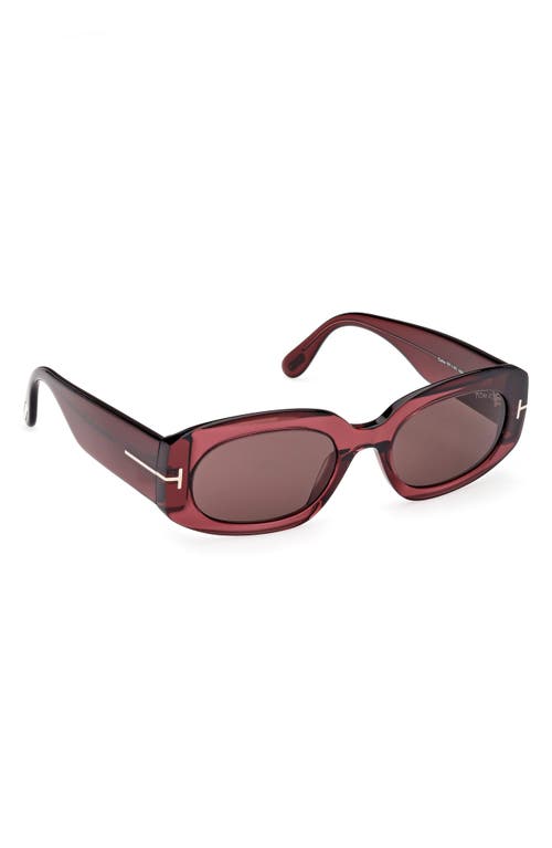 Tom Ford Cielle 52mm Oval Sunglasses In Burgundy