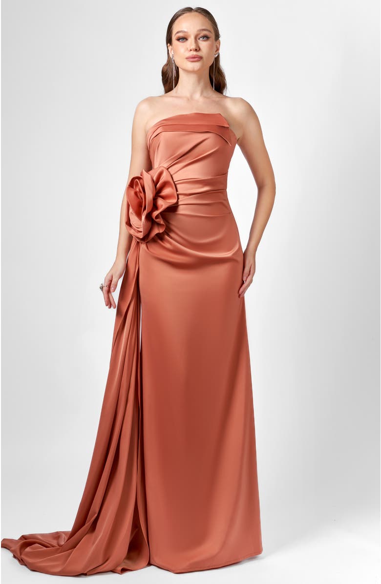 Bariano Amelia Strapless Rose Gown, Main, color, 