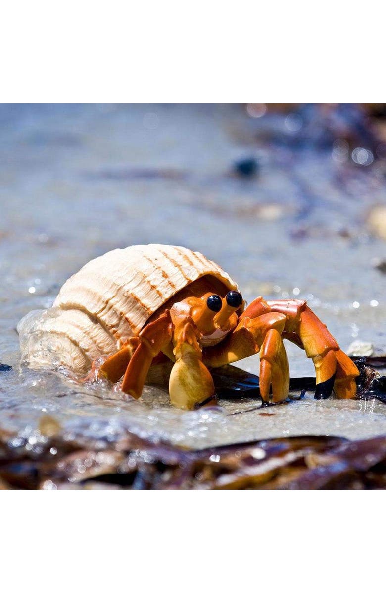 Safari Ltd. Hermit Crab Toy, Alternate, color, NO COLOR