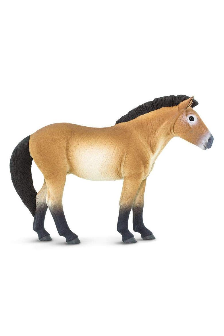 Przewalskis Horse Kids Toy Figure, Main, color, None