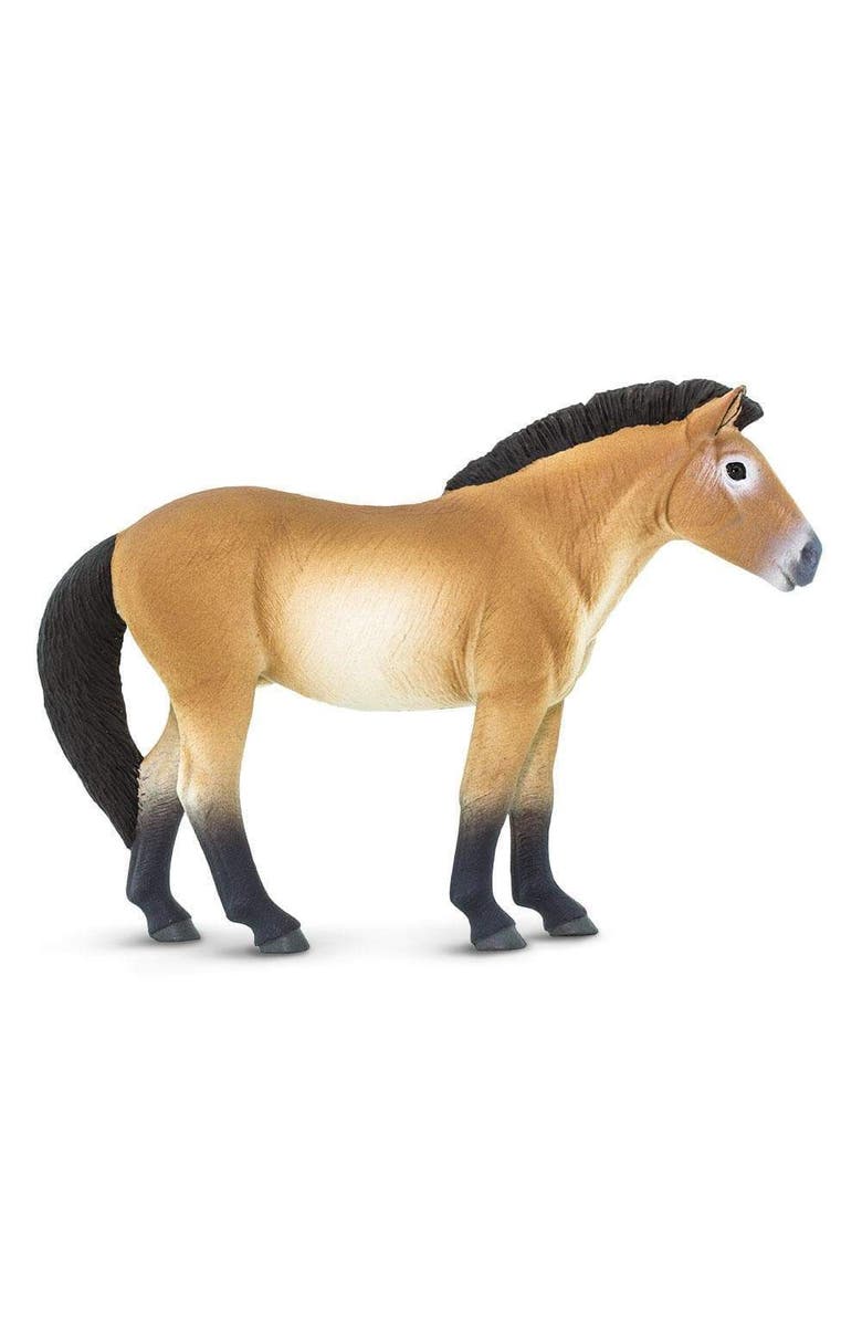 Safari Ltd. Przewalskis Horse Kids Toy Figure, Main, color, NO COLOR