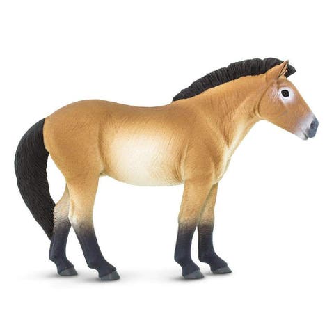 Przewalskis Horse Kids Toy Figure