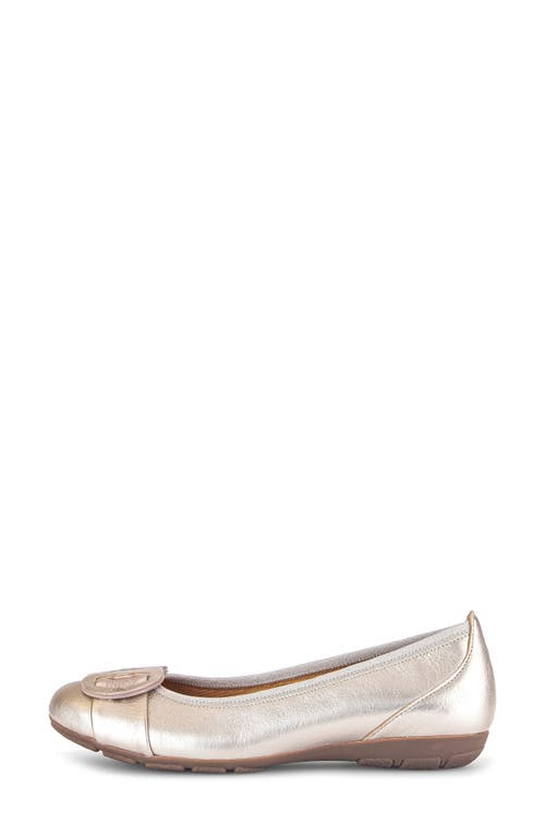 Gabor 44.163 Ballet Flat In Puder