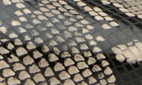 Tony Bianco Charlie Ecru Snake In Ecru Snake