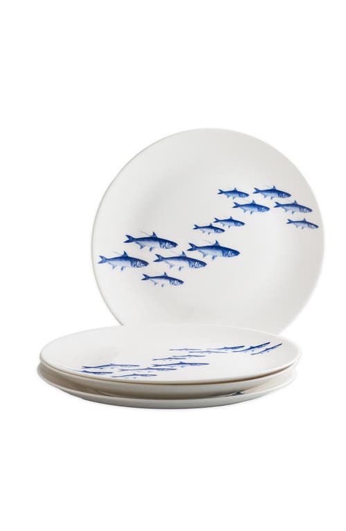 Caskata School Of Fish Blue Coupe Dinner Plate In Blue