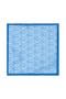 selected Light Blue