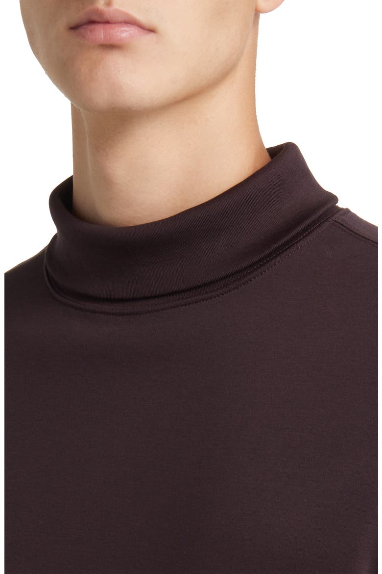 Georgia Cotton Turtleneck, Alternate, color, PORT