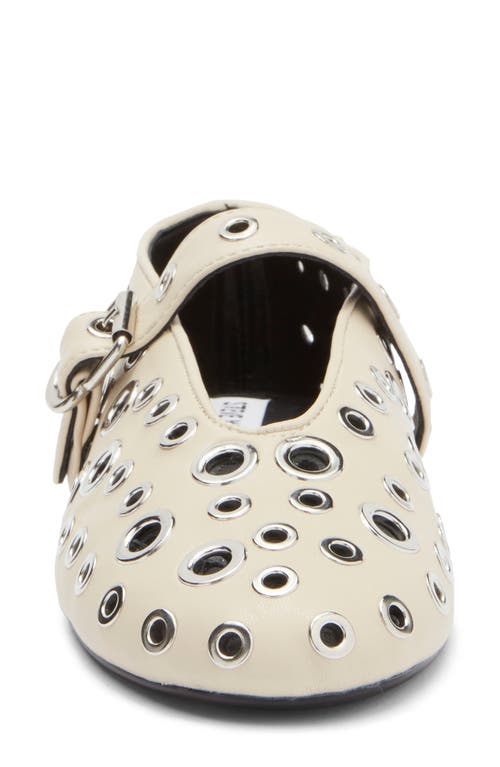 Steve Madden Ansley Ballet Flat In Bone