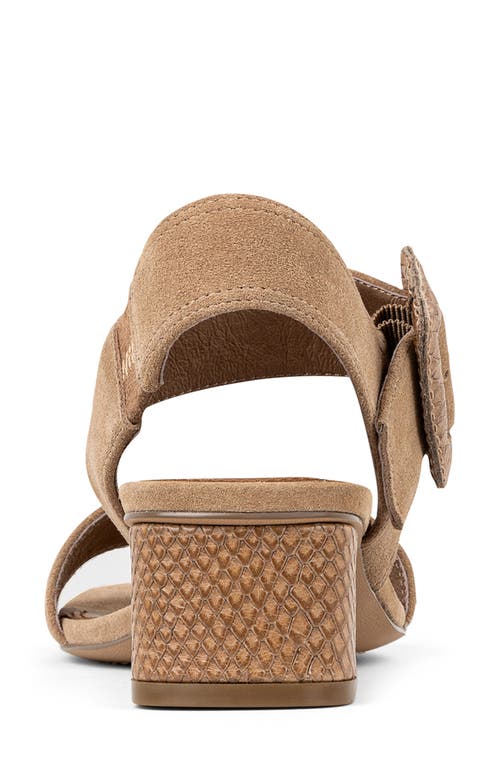 DONALD PLINER DONALD PLINER OVERSIZE BUCKLE SLINGBACK SANDAL 