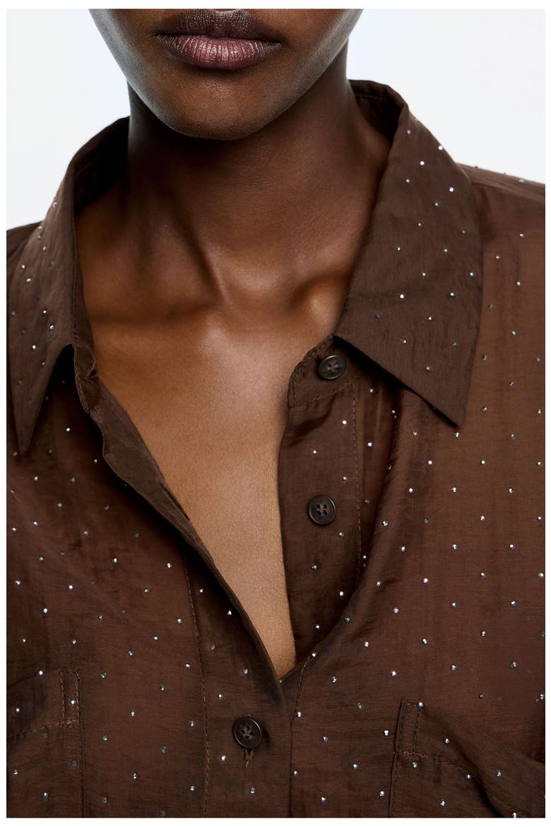 Oversize Shirt With Mini Rhinestones, Alternate, color, DARK BROWN