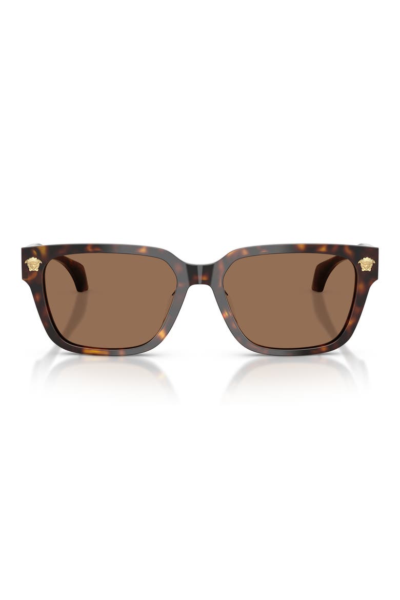 56mm Rectangular Sunglasses, Main, color, HAVANA / DARK BROWN