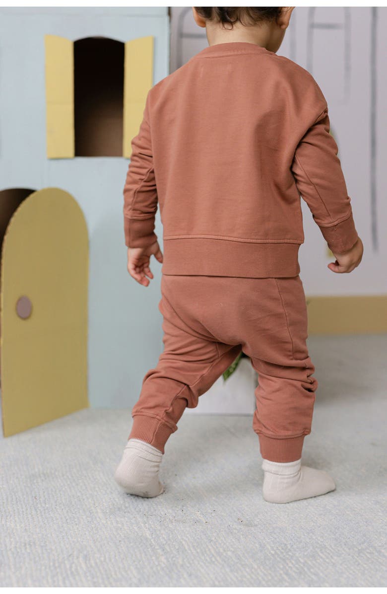 Pehr Organic Cotton French Terry Harem Pants, Alternate, color, Clay