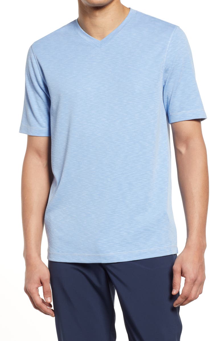 Johnston & Murphy Slub V-Neck T-Shirt, Main, color, 