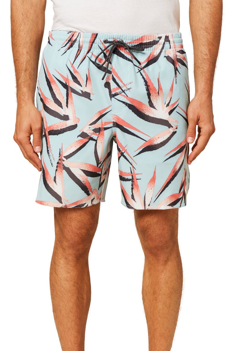 Birds Volley Swim Trunks, Main, color, ICE WATER