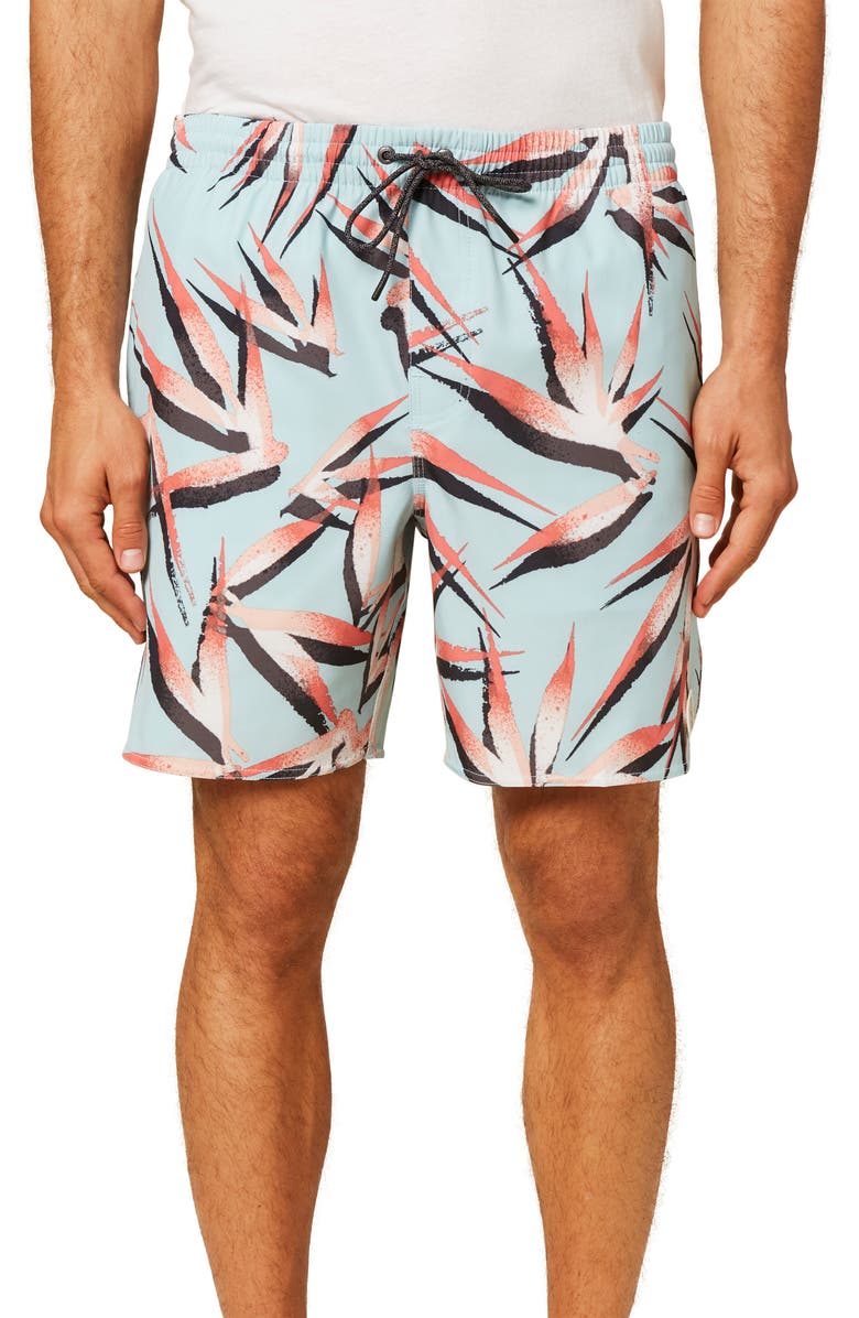 O'Neill Birds Volley Swim Trunks, Main, color,