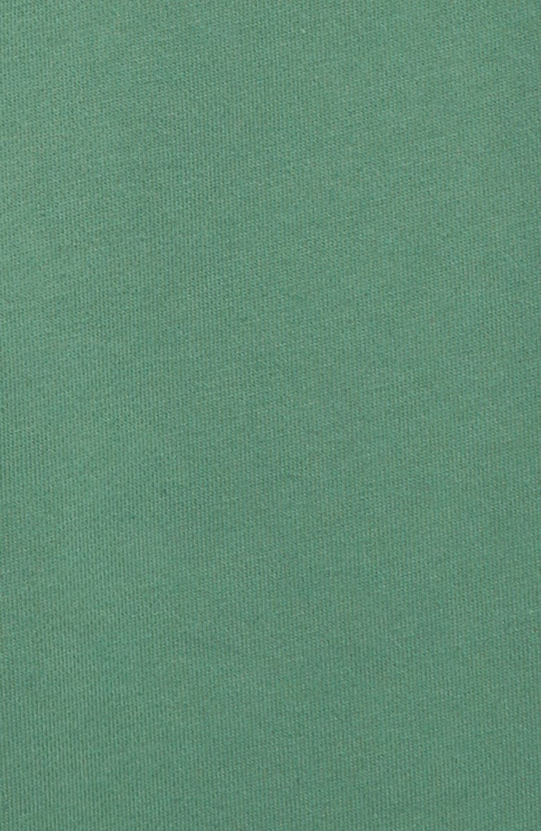 Champion Heritage Premium Fleece Sweatpants, Alternate, color,