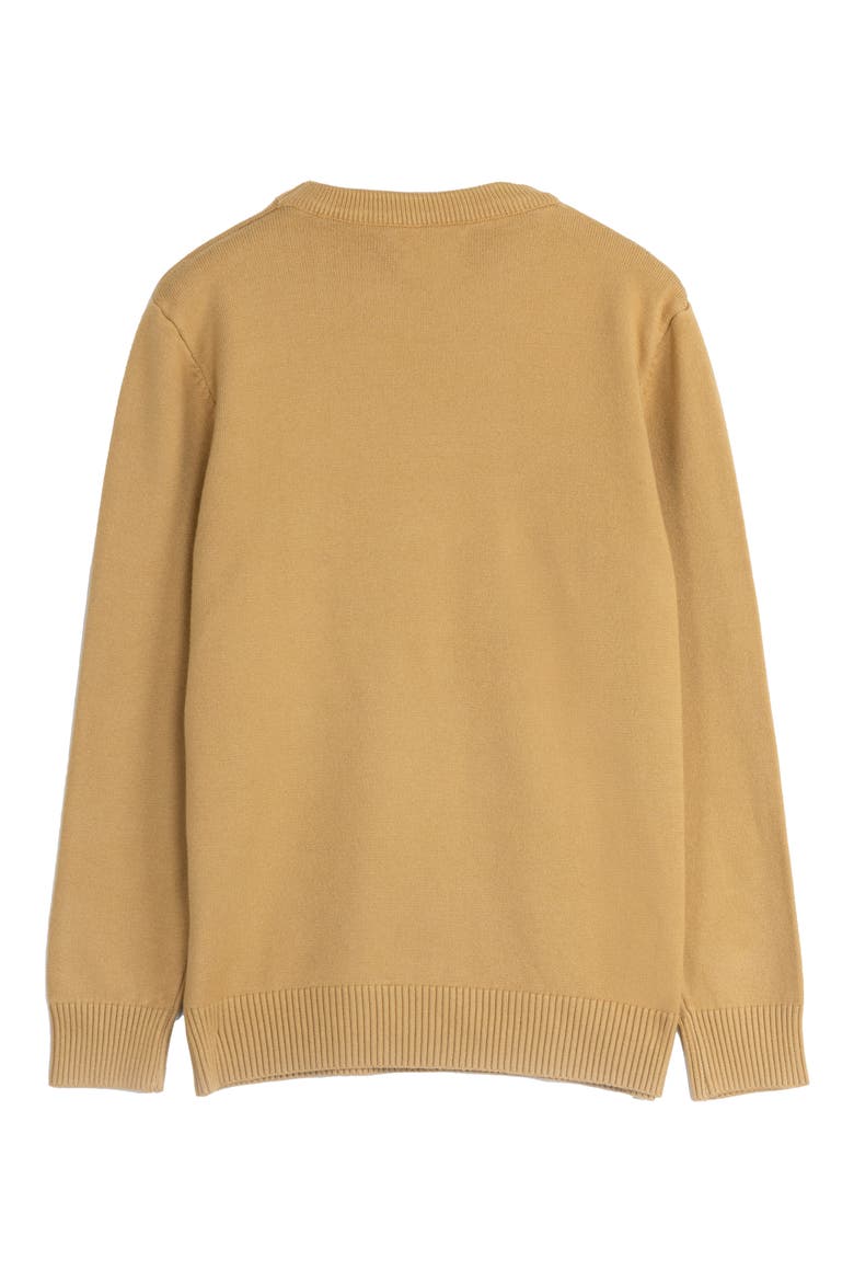 Kids' Basic V-Neck Sweater, Alternate, color, COPPER