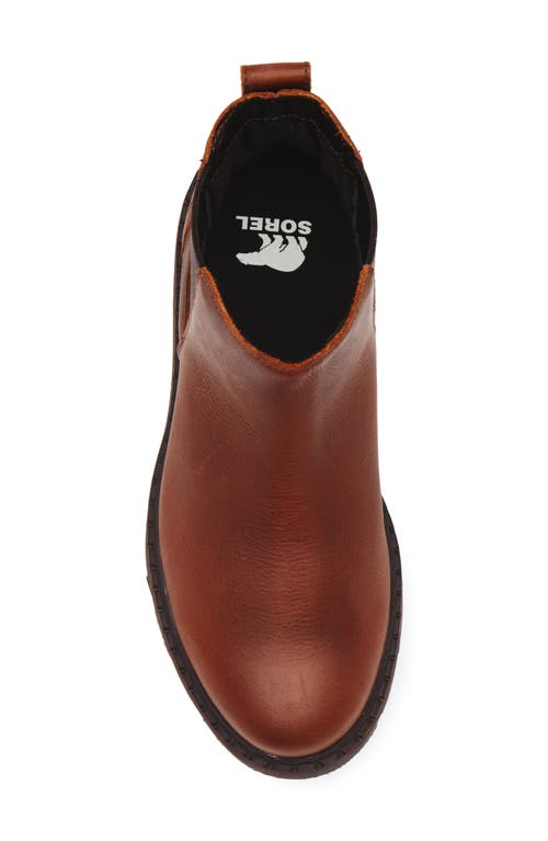 Sorel Lennox Waterproof Chelsea Boot In Brown