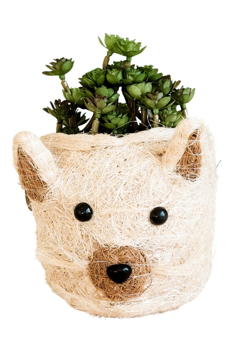 Mini Cat Succulent Planter, Alternate, color, WHITE / BROWN