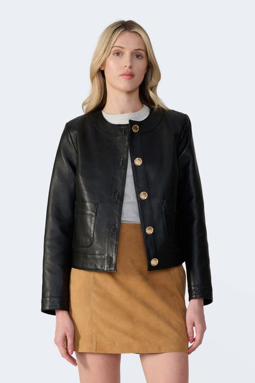 Furniq Uk Llc Margot Leather Jacket In Black