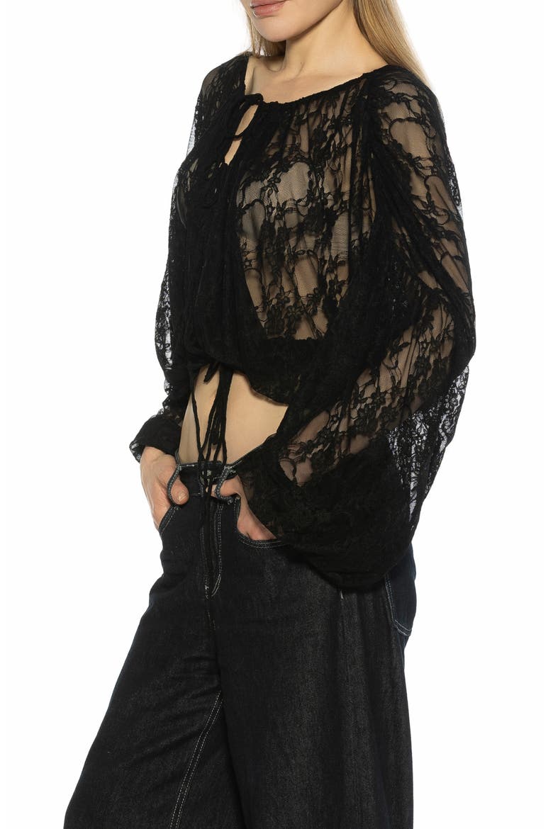 Luca Sheer Lace Top, Alternate, color, BLACK