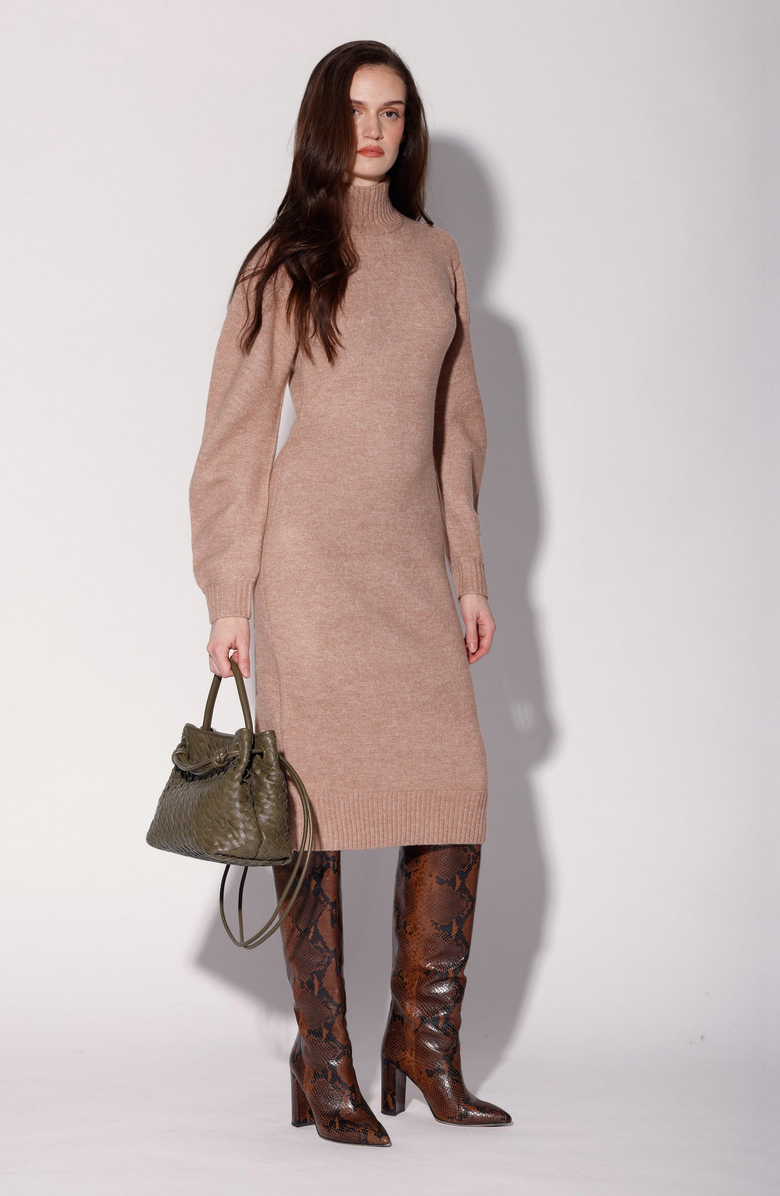 Walter Baker Adalina Dress, Alternate, color,