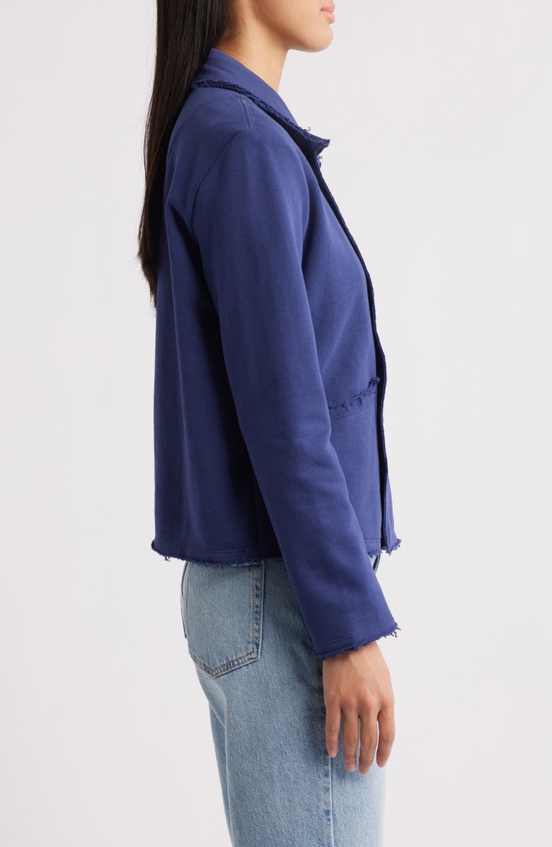 Hatley Prep Patriot Blue Double Breasted Cotton Jacket, Alternate, color,