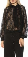 Alexia Admor Rae Lace Top with Neck Tie