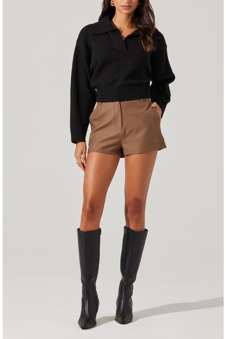 Crop Polo Sweater, Alternate, color, BLACK
