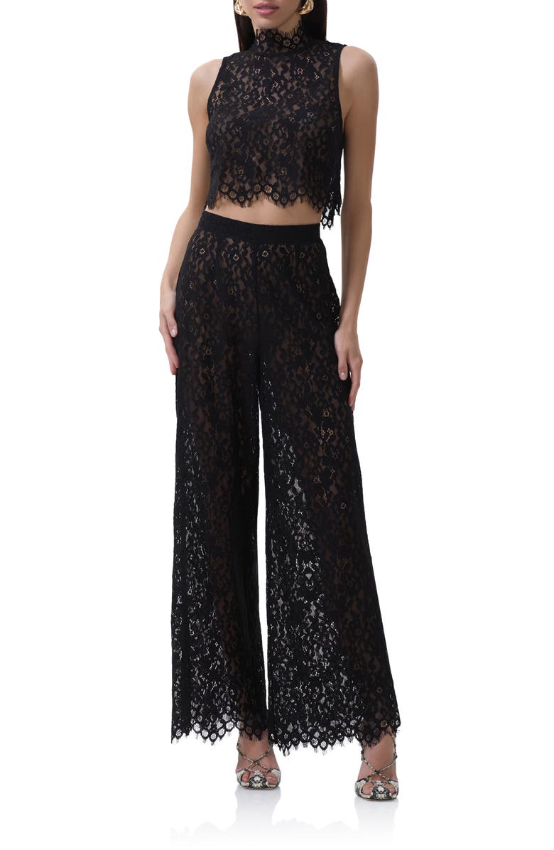 AFRM Cayne Sheer Lace Crop Tank, Alternate, color, Noir