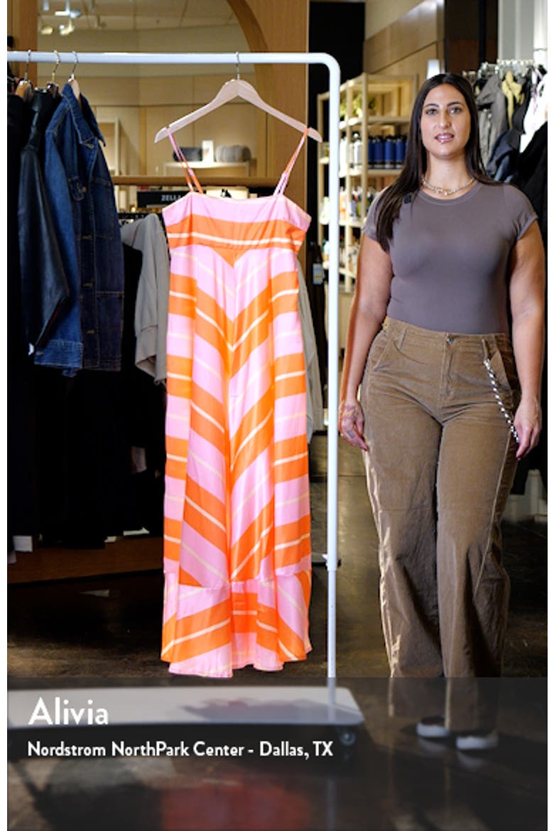 Collie Stripe Dress video