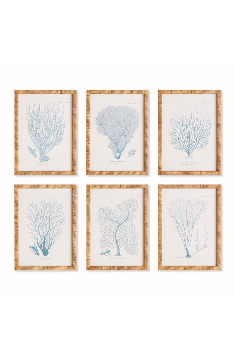Napa Home & Garden 16"W x 1"D x 22"H Sea Fan And Coral Study In Blue Framed Wall Art Set of 6, Main, color, Blue