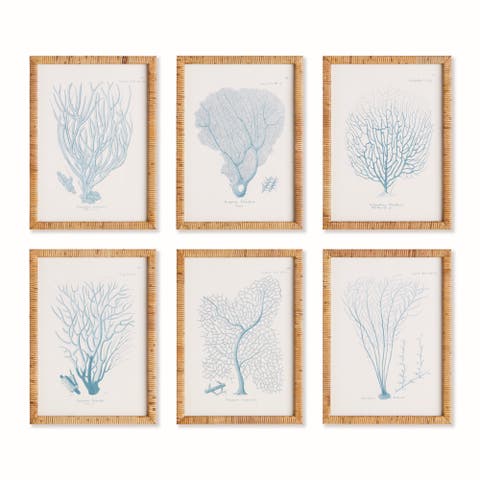 16"W x 1"D x 22"H Sea Fan And Coral Study In Blue Framed Wall Art Set of 6
