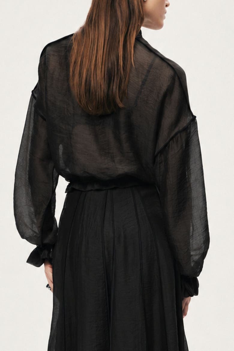 Sheer Zip Front Jacket, Alternate, color, Black