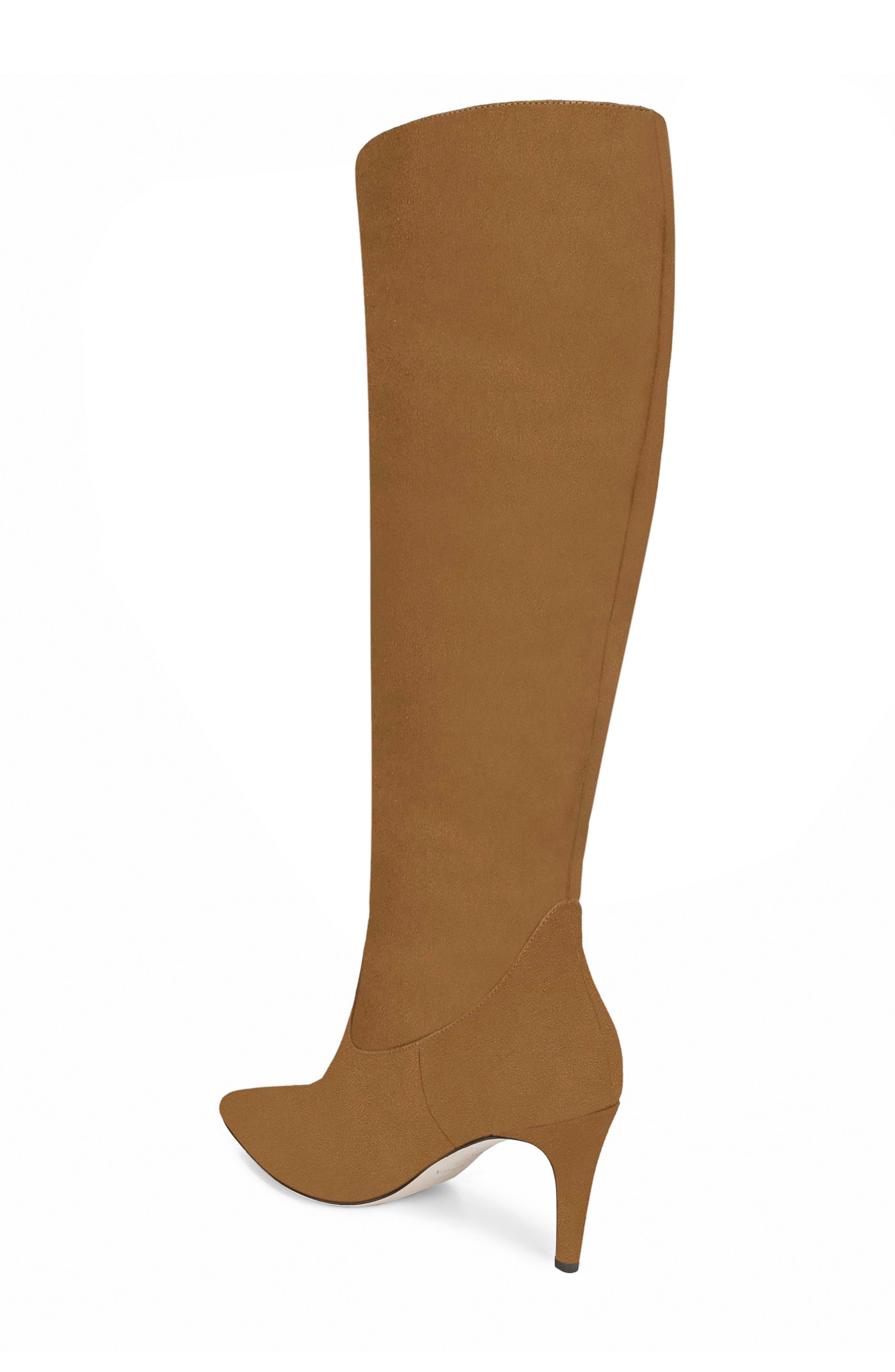 Garance Knee High Boot, Alternate, color, WOOD SUEDE