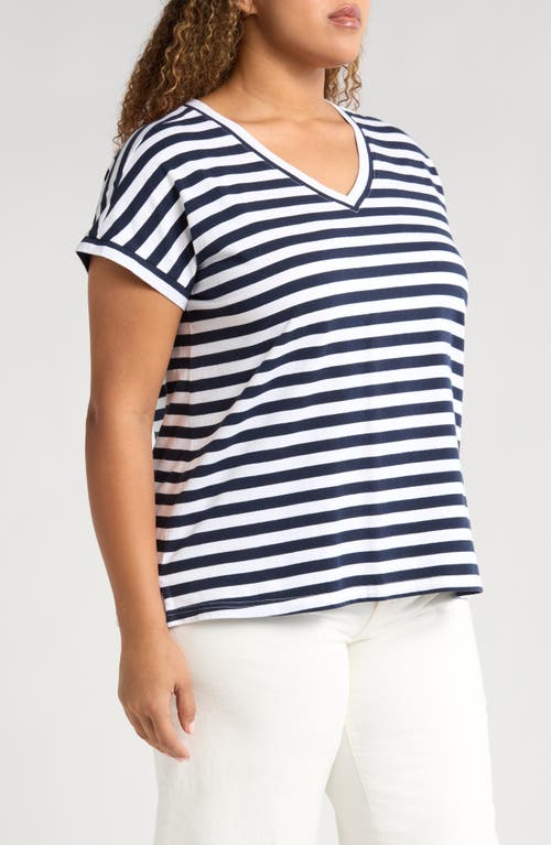 CASLON CASLON® STRIPE V-NECK COTTON T-SHIRT