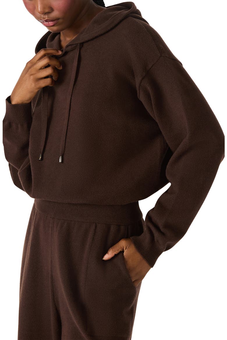 Kinny Hoodie, Alternate, color, DARK ESPRESSO