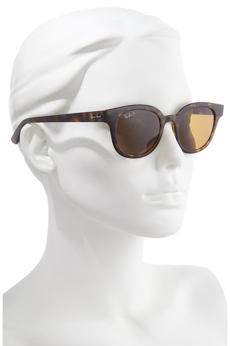 50mm Polarized Cat Eye Sunglasses, Alternate, color, HAVANA/ DK BROWN POLAR