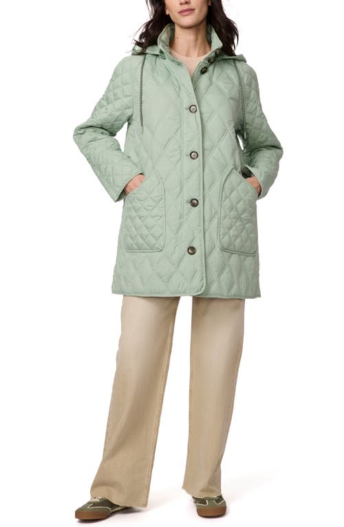 Shop Bernardo Diamond Quilted Hooded Liner Jacket In Green