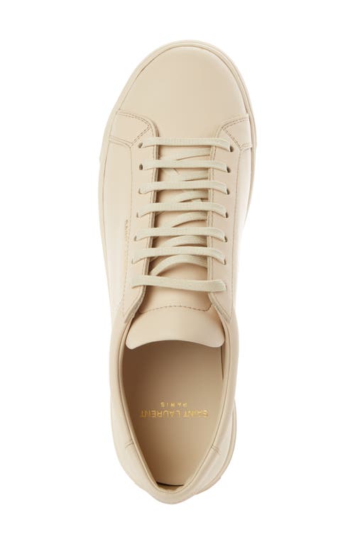 Saint Laurent Andy Low Top Sneaker In Neutral