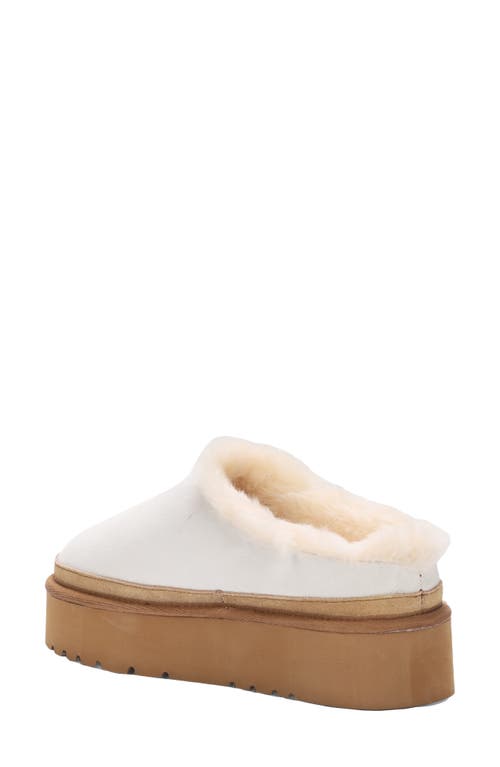 Mykos Suede Faux Fur Cuff Slipper In Multi