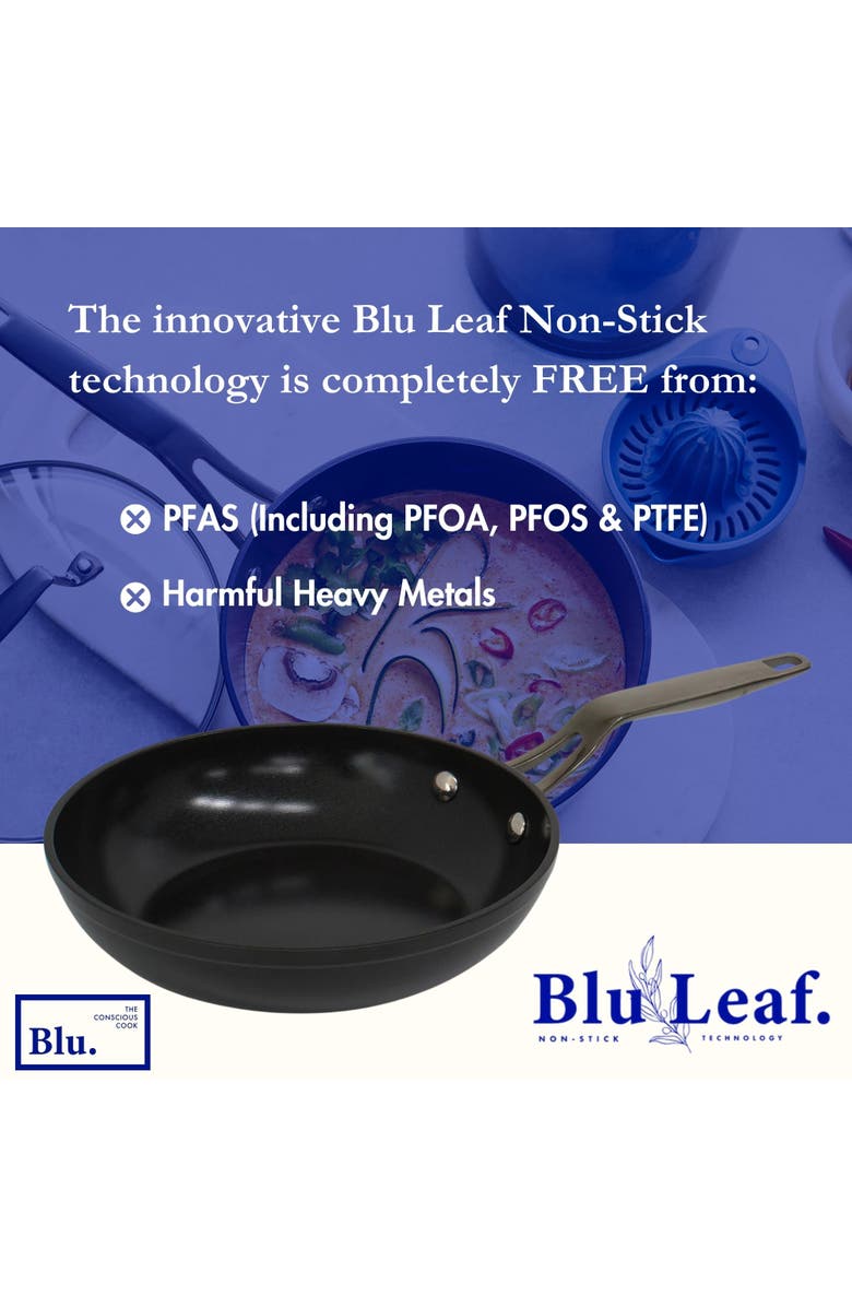 Blu. 11 inch Induction Frying Pan, Alternate, color, Black