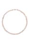  Blush- 14K Yellow Gold