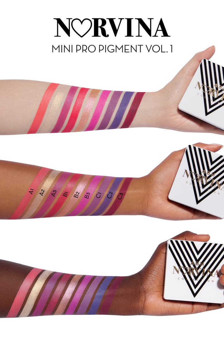 Anastasia Beverly Hills Mini Norvina Pro Pigment Palette Vol. 1, Alternate, color, 