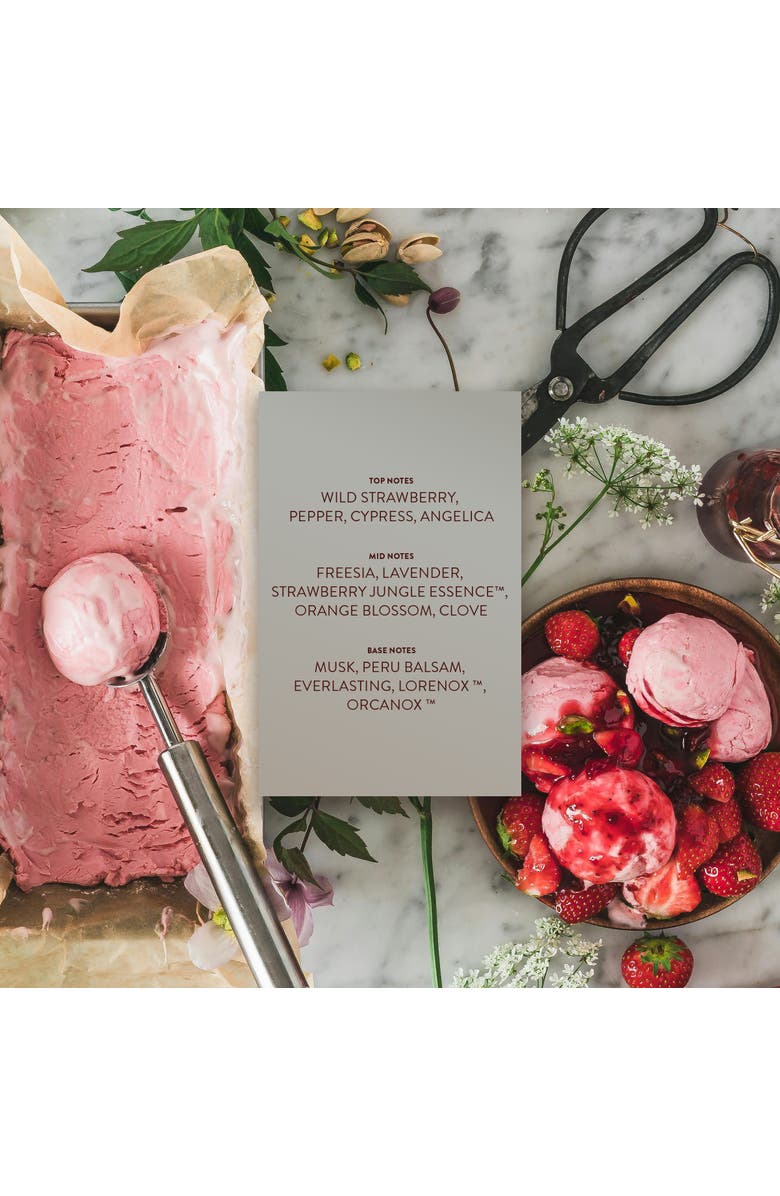 Michael Malul Berry + Blanche Eau de Parfum, Alternate, color, 10Ml