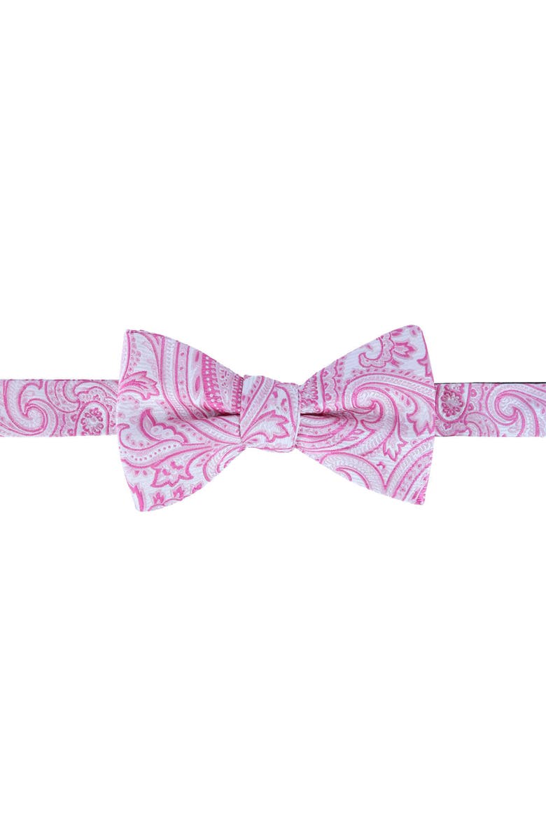 Sobee Paisley Silk Brace and Bow Tie Set, Alternate, color, Pink